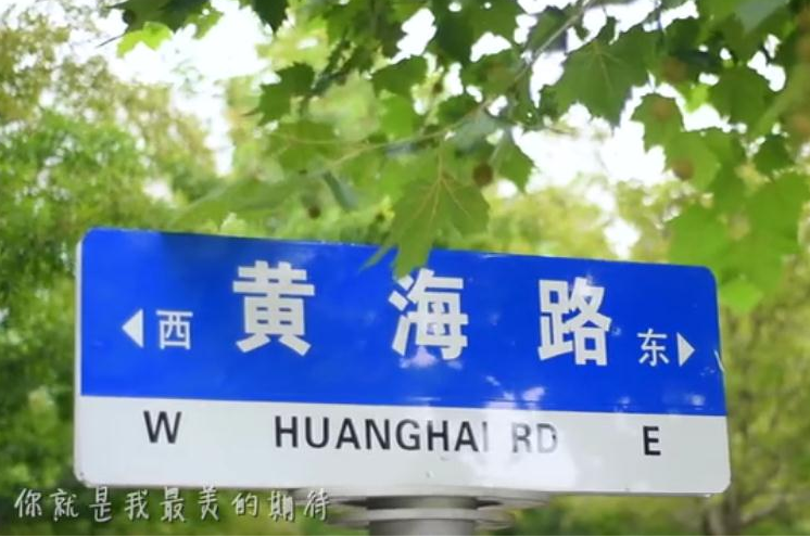 开云kaiyun网页版《最美的期待》